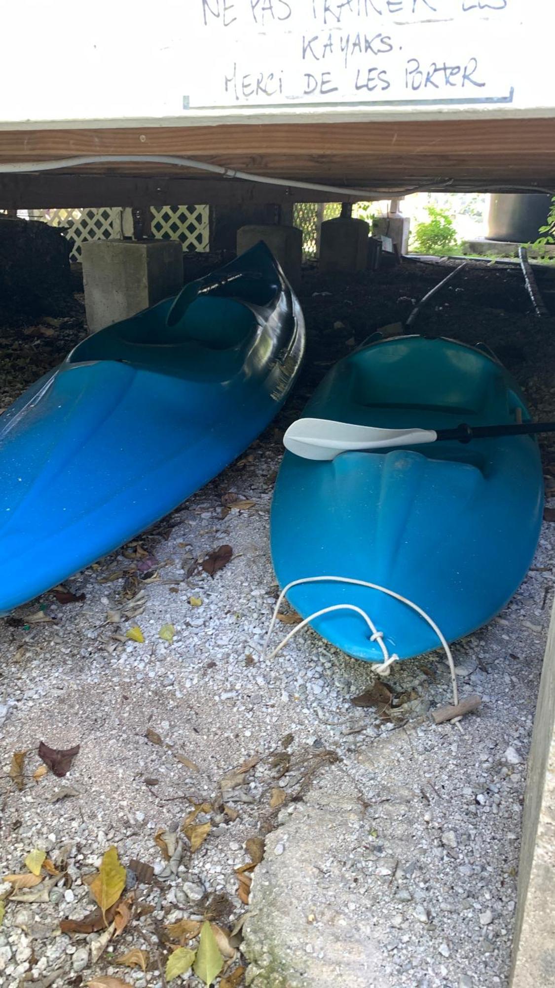 Le Fare Bleu Tiputa Rangiroa Lejlighed Eksteriør billede