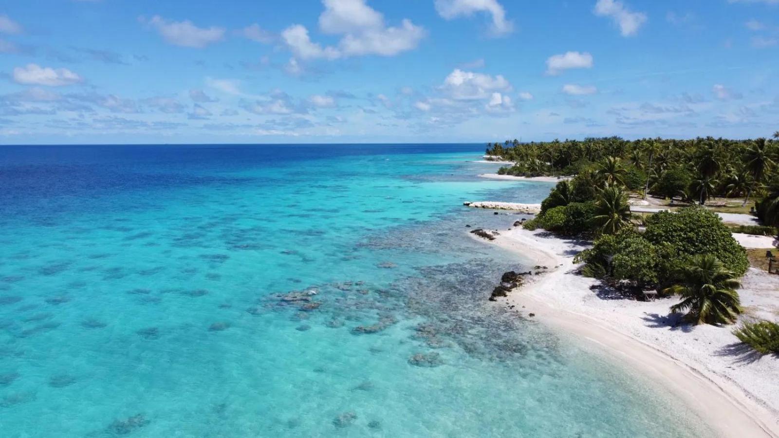 Le Fare Bleu Tiputa Rangiroa Lejlighed Eksteriør billede
